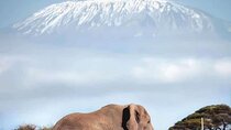 Overnight Safari to Amboseli National Park