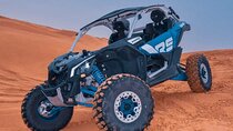Dubai Buggy Riding Red Dunes Desert Safari 
