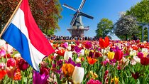 Keukenhof Tulip Fields and Bulb Area from Amsterdam 