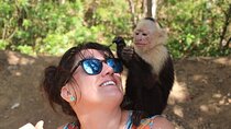 Monkey Tour from Playa Jaco 