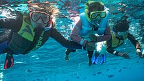 Kuata Island Marine Conservation Experience with Lunch 