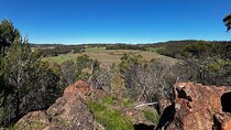 Experience SA Clare Valley Private Wine Tour