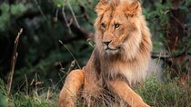 3 Days Maasai Mara Private Safari