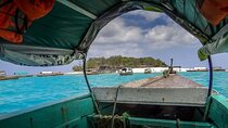 Prison Island Half-Day Experience & Transfer Service - Zanzibar