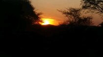 from cape town Aquila game reserve Sunset Safari Drive Exclusive
