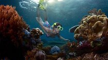 Bali Blue Lagoon Snorkeling and Waterfall Tour