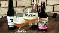 Beer tasting in the historic heart of Vienna