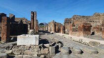 Private Wheelchair-Accesible Tour from Naples to Pompeii