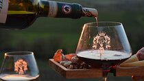 Winery tour with panoramic aperitif in Chianti