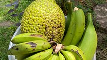 Learn to Cook Like a Caribbean in Puerto Viejo