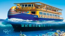 Nefertari Snorkeling Cruise From Makadi With pickup