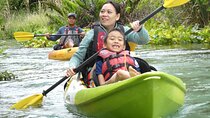 Small Group Rock Springs Run Eco Kayak Adventure
