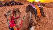 3-Day Merzouga Desert Tour:Atlas Mountains,Camel Ride&Sahara Camp
