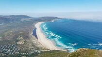 Full Day Tour of Cape of Good Hope and Boulders Beach Penguins