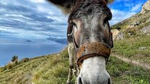 Transfer from Positano to The Path of the Gods