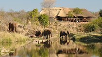  Johannesburg to Zambezi Multi Day Tour Adventure