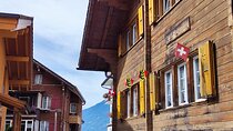 Explore Switzerland with a Van and Driver from Lucerne 