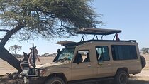 5 Day Kenya Budget Safari Naivasha, Nakuru Lakes and Masai Mara