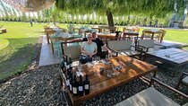 Discover the Uco Valley on Private Tour