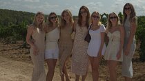 Ibiza: Private Wine Tasting + Tapas + Olive Oil Tasting+Transport