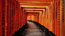 Kyoto Early Morning Tour with Korean Speaking Guide