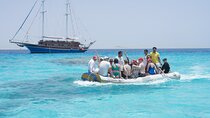 Marsa Alam: Pirates Sailing Boat Cruise to Turtle Bay with Pickup