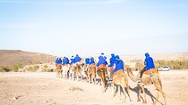 Camel Ride and Dinner Show in the Agafay Desert