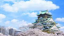 Tour Famous Spots in Osaka by Private Car