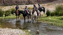 Aït Ben Haddou and Siroua Valley Adventure Tour in 4x4 and Quad