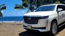 VIP Private Road to Hana Tour with Pick Up