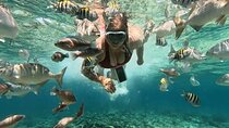 Rosario Islands and Playa Blanca Tour with Snorkeling or Aquarium