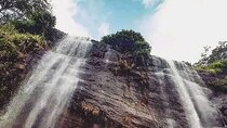 Waterfalls Tour