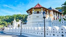 6 Days Tour of Sri Lanka 