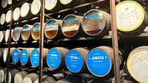 Appleton Estate Rum Tasting and YS Falls 