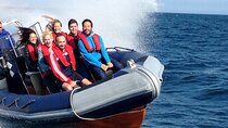 Barcelona Speedboat Coastline Tour
