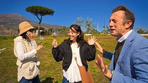  Herculaneum Private Tour with wine and lunch option on Vesuvius