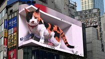Shinjuku Highlights Walking Tour