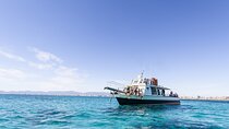 Shared Palma de Mallorca Boat Tour Package