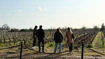 Medoc 1855 individual Half Day Wine Tour
