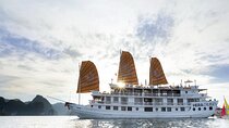 Halong Bay Adventure 3 Days and 2 Nights of Scenic Wonders