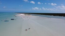 Holbox Boat Tour and Golf Cart 
