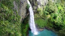 Raglan New Zealand Adventure Tour from Auckland