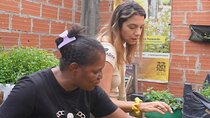 Cartagena Cooking Class for a Cause – by Lunatico Experience