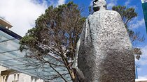 Auckland Walking Tour: Small-Group History & Culture Experience