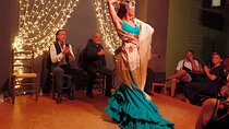 Tapas Dinner and Flamenco Show in Valencia
