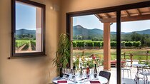 The classics - Guided tour with DOC Bolgheri tasting