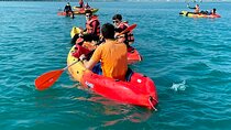 Guided Kayak Tour and Paella Lunch at the Beach in Valencia