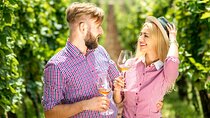 Visit of an Etna Winery Private Transfer from Taormina