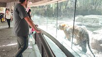 Chapultepec Forest Private Tour 