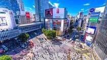Best of Tokyo Private Tour English Driver &Customizable Itinerary